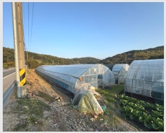  2024Ÿ��1240 �泲 û�籺 ����� ��θ� 480-3      ����(��)���