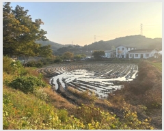  2024Ÿ��1240 �泲 û�籺 ����� ��θ� 480-3      ����(��)���