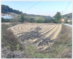  2024Ÿ��1240 �泲 û�籺 ����� ��θ� 480-3      ����(��)���