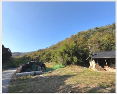  2024Ÿ��1271  �Ӿ߰��