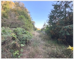  2024Ÿ��1271  �Ӿ߰��