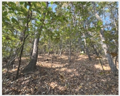  2024Ÿ��1271  �Ӿ߰��