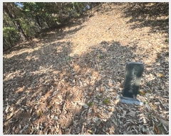  2024Ÿ��1271  �Ӿ߰��