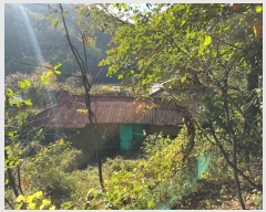  2024Ÿ��1271  �Ӿ߰��