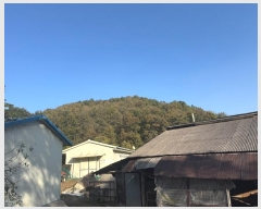  2024Ÿ��1271  �Ӿ߰��