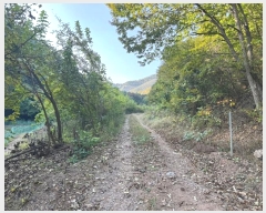  2024Ÿ��1271  �Ӿ߰��