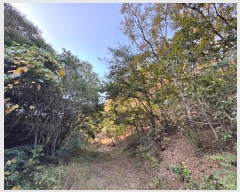  2024Ÿ��1271  �Ӿ߰��