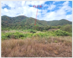  2024Ÿ��1332  �Ӿ߰��