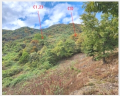  2024Ÿ��1332  �Ӿ߰��