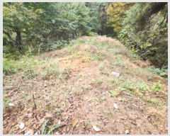  2024Ÿ��1332  �Ӿ߰��