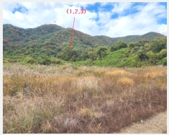  2024Ÿ��1332  �Ӿ߰��