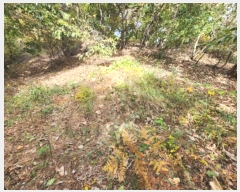  2024Ÿ��1332  �Ӿ߰��