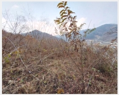  2024Ÿ��1424 �泲 ���ֽ� ������ ž� 203-1      ����(��1)���