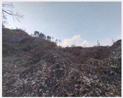  2024Ÿ��1424 �泲 ���ֽ� ������ ž� 203-1      ����(��1)���