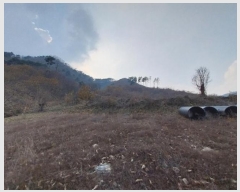  2024Ÿ��1424 �泲 ���ֽ� ������ ž� 203-1      ����(��1)���