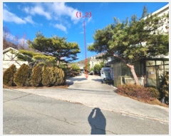  2024Ÿ��1455  ���(ķ����)���