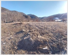  2024Ÿ��1530  �����