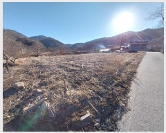  2024Ÿ��1530  �����