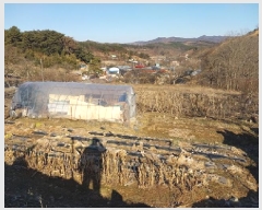  2024Ÿ��1530  �����