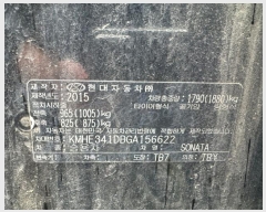  2024Ÿ21244 泲 û籺 û  ָ 43     