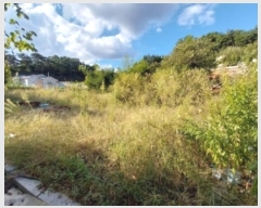  2024Ÿ21466 泲 ֽ ȸ 渮 304-1      ()