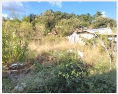  2024Ÿ21466 泲 ֽ ȸ 渮 304-1      ()