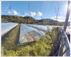  2024Ÿ21466 泲 ֽ ȸ 渮 304-1      ()