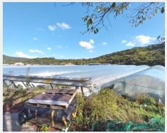  2024Ÿ21466 泲 ֽ ȸ 渮 304-1      ()