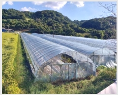  2024Ÿ21466 泲 ֽ ȸ 渮 304-1      ()