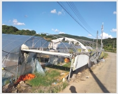  2024Ÿ21466 泲 ֽ ȸ 渮 304-1      ()