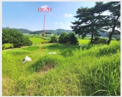  2024Ÿ21695 泲 ֽ źõ ߵ 113-8      (Ӿ)