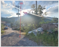  2024Ÿ21824 泲 ֽ   115      ()