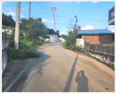  2024Ÿ21824 泲 ֽ   115      ()