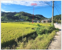  2024Ÿ��21954  ����