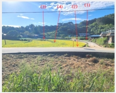  2024Ÿ��21954  ����