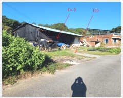  2024Ÿ��21954  ����