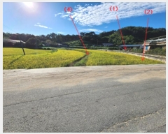  2024Ÿ��21954  ����