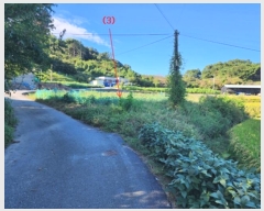  2024Ÿ��21954  ����