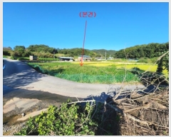  2024Ÿ��21954  ����