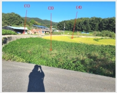  2024Ÿ��21954  ����