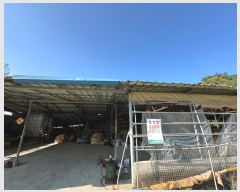  2024Ÿ22087 泲 ֽ  ϴ븮 4      (󰡽ü)