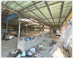  2024Ÿ22087 泲 ֽ  ϴ븮 4      (󰡽ü)