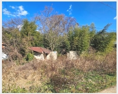  2024Ÿ��22179 �泲 û�籺 ����� ���Ѹ� 66      ����(����)���