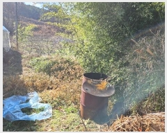  2024Ÿ��22179 �泲 û�籺 ����� ���Ѹ� 66      ����(����)���