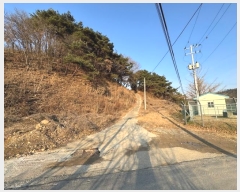  2024Ÿ��22407 �泲 ���ֽ� ������ ������ 25-5      ����(�Ӿ�)���