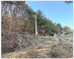  2024Ÿ��22407 �泲 ���ֽ� ������ ������ 25-5      ����(�Ӿ�)���