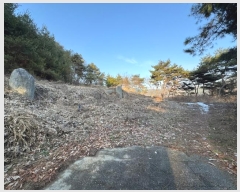  2024Ÿ��22407 �泲 ���ֽ� ������ ������ 25-5      ����(�Ӿ�)���