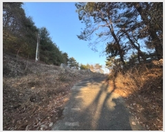  2024Ÿ��22407 �泲 ���ֽ� ������ ������ 25-5      ����(�Ӿ�)���