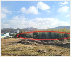  2024Ÿ��22490  �Ӿ߰��