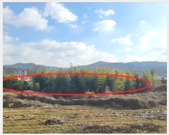  2024Ÿ��22490  �Ӿ߰��